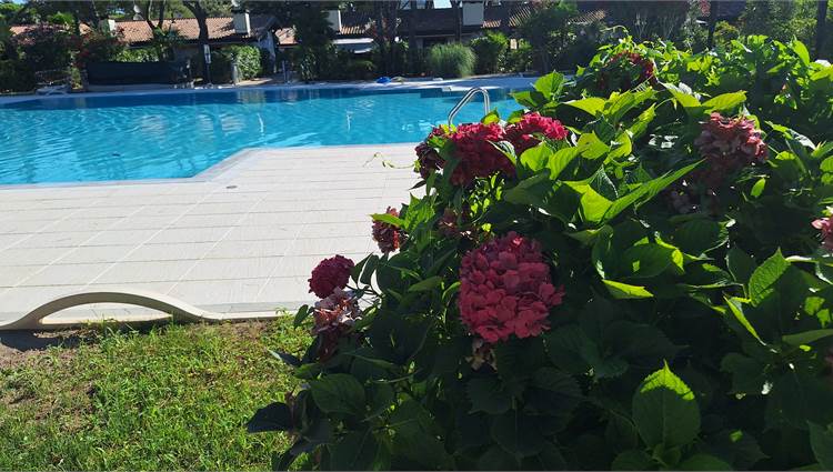 piscina