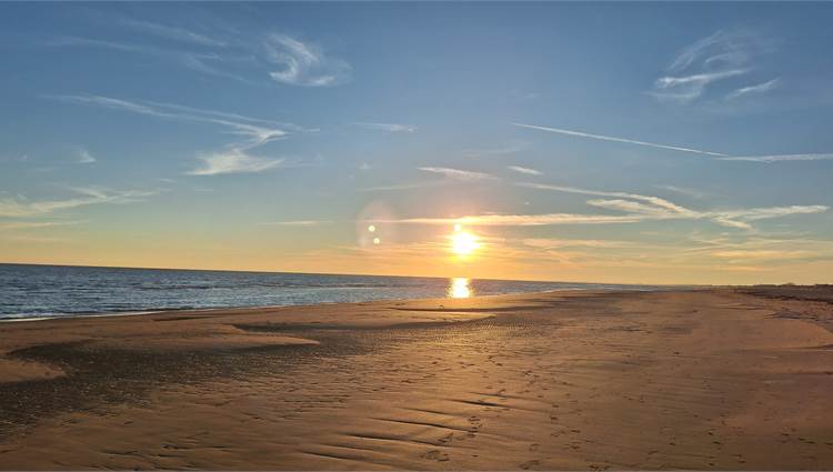 Bibione